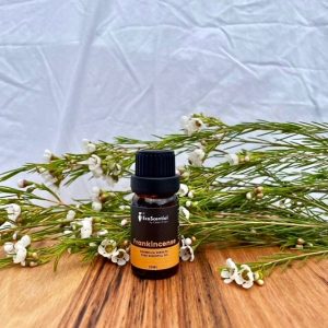 frankincense essential oil ecoscential 707597 1800x