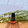 Mandarin Essential Oil-10 ml