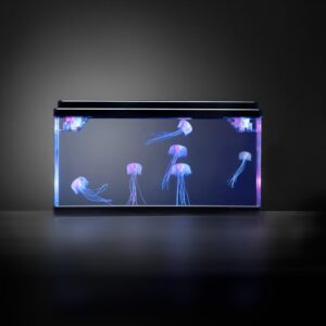 jellyfishtankwithledlights6934